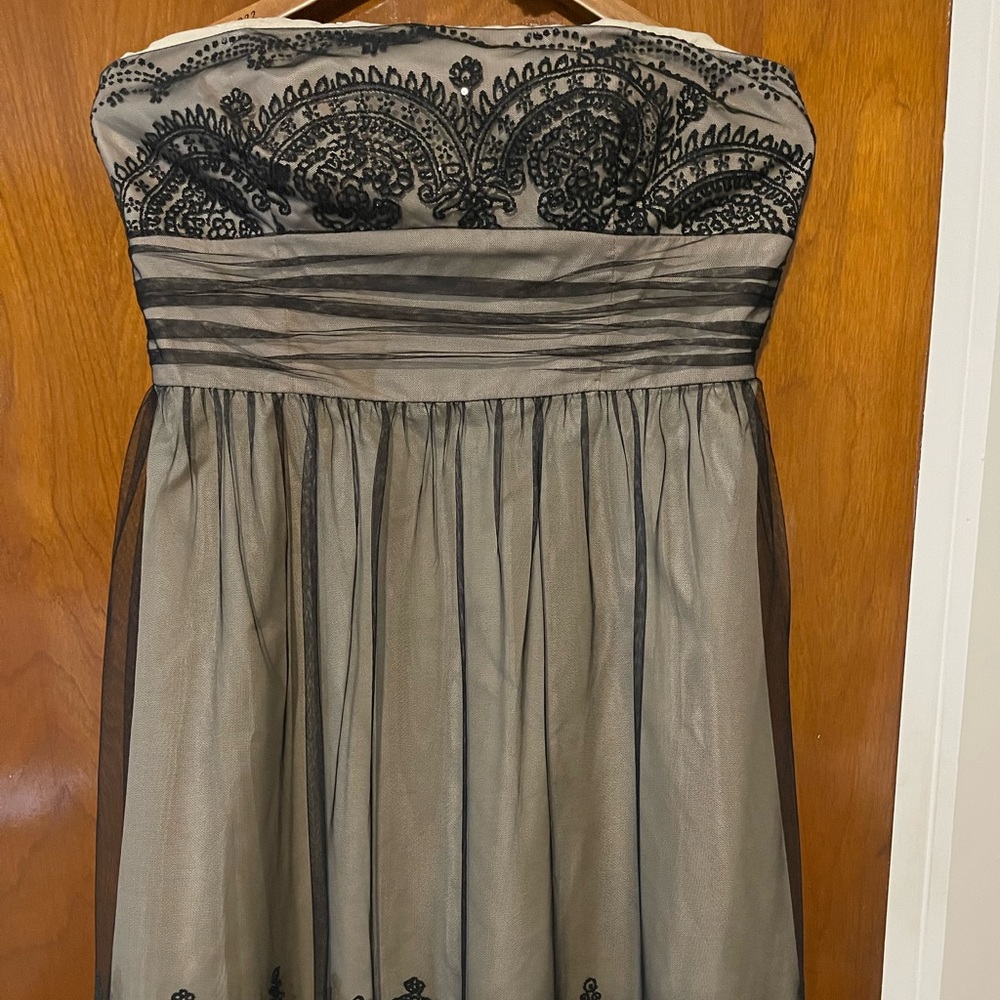 David’s bridal strapless champagne and black dress